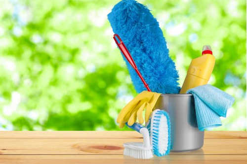 Professional sofa cleaning in a bright living room