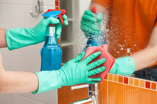 Professional oven cleaning in a modern kitchen
