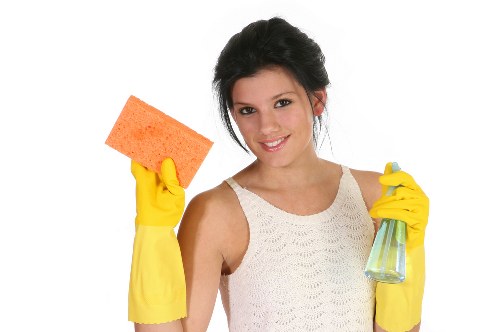 Waste area cleaning and hygiene maintenance in a shared property