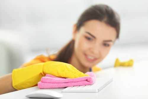 Bathroom end of tenancy cleaning with limescale and sanitising tasks