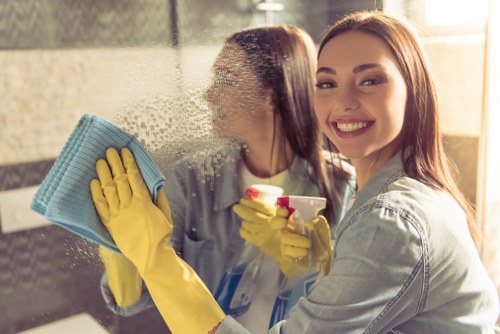 Window cleaner removing streaks from office glass panels