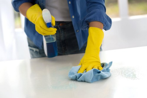 Eco-friendly house cleaning supplies arranged on a countertop