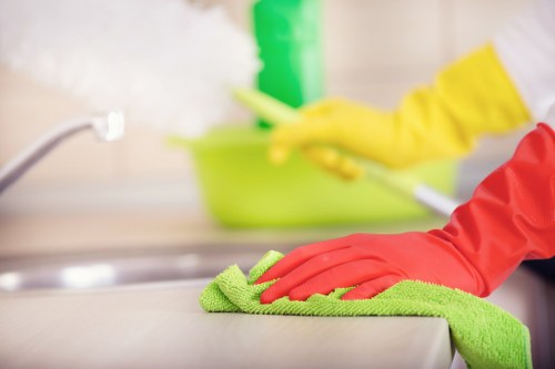 Eco-friendly domestic cleaning products and reusable cloths